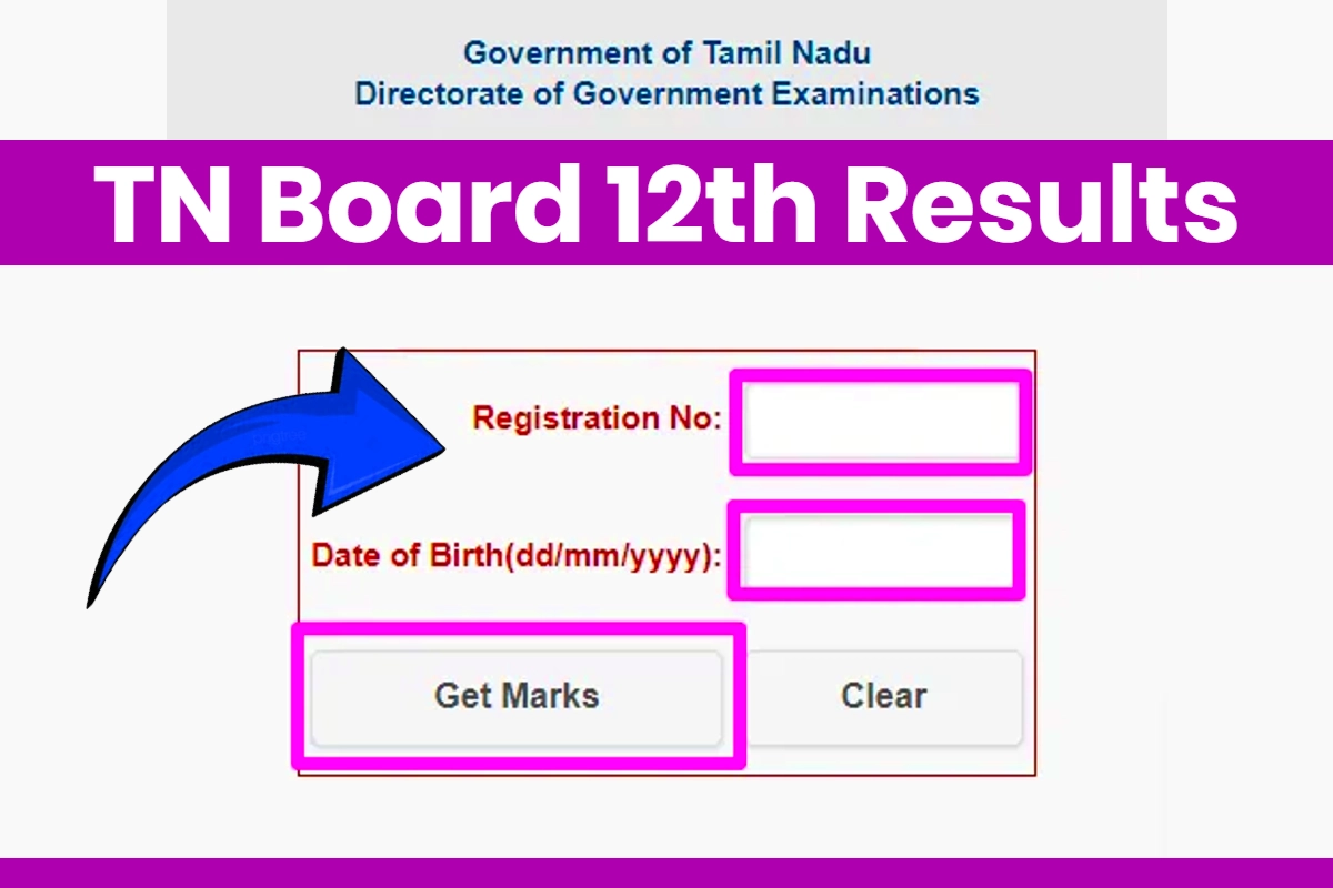 Tnresults.nic.in 12th Result 2024